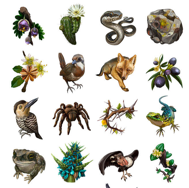 TerritoriAR: APP de Flora y Fauna Chilena (2020)